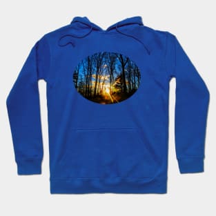 sunset in the woods Hoodie